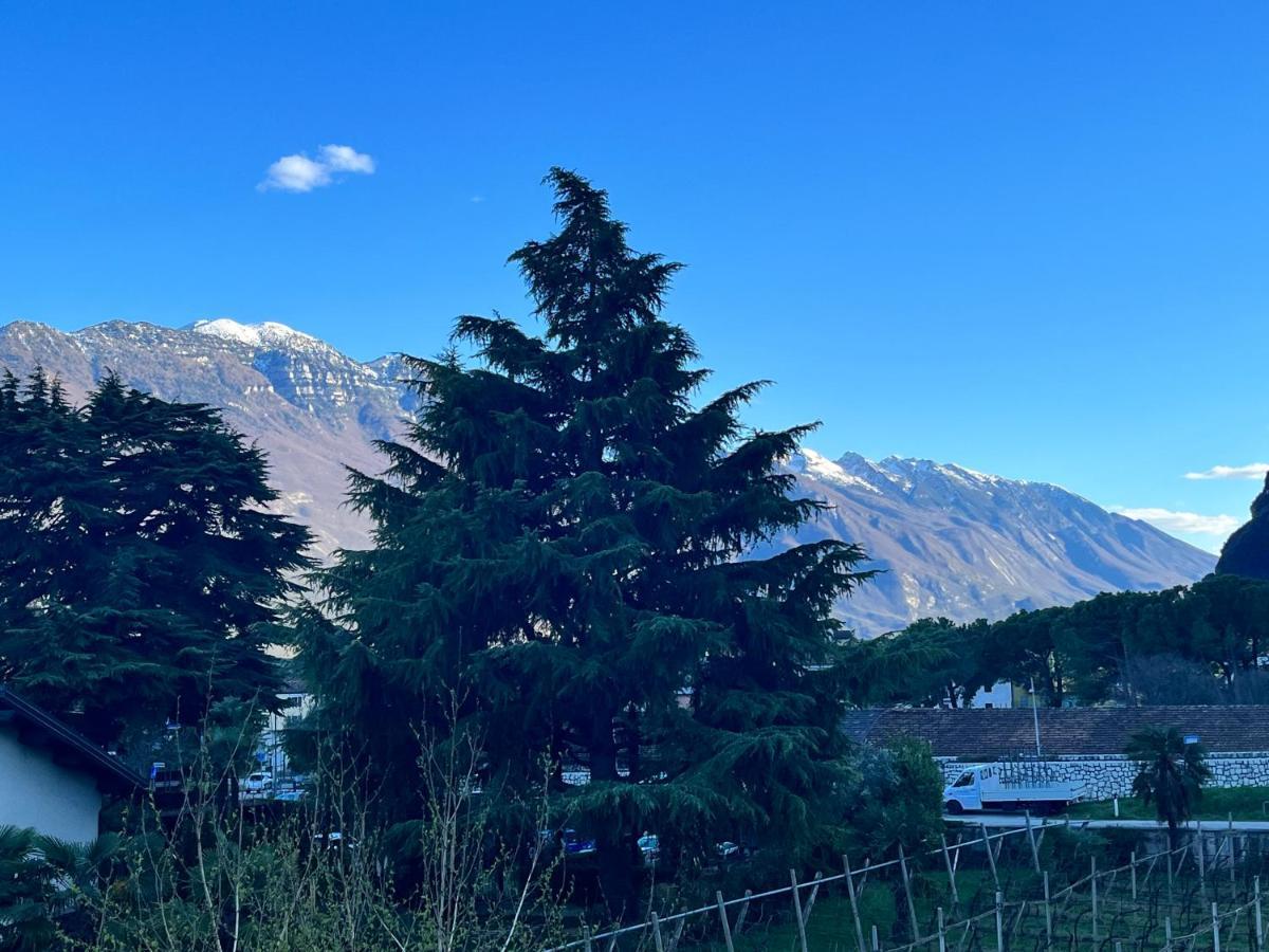 Albola Suite Holiday Apartments Riva del Garda Exteriör bild
