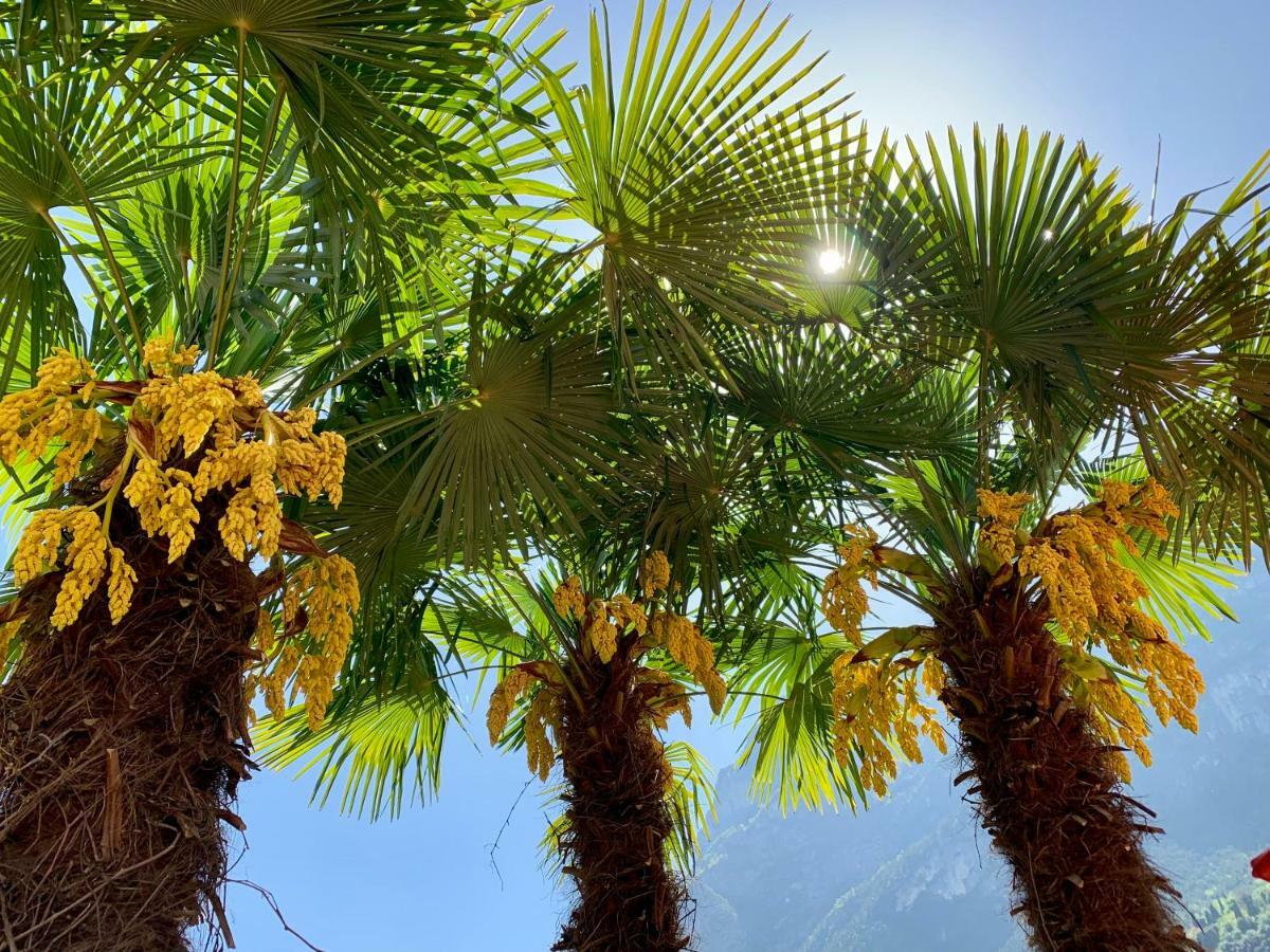 Albola Suite Holiday Apartments Riva del Garda Exteriör bild